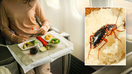 An Air India customer reported that she found a cockroach in her in-flight meal.