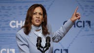 Kamala Harris' tax plan could cost US nearly 800K jobs