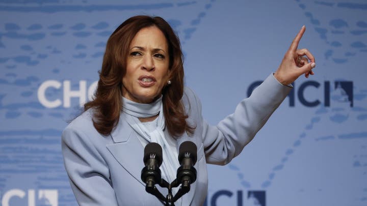 VP Harris' proposed tax plan could put nearly 800,000 Americans out of work - Fox News