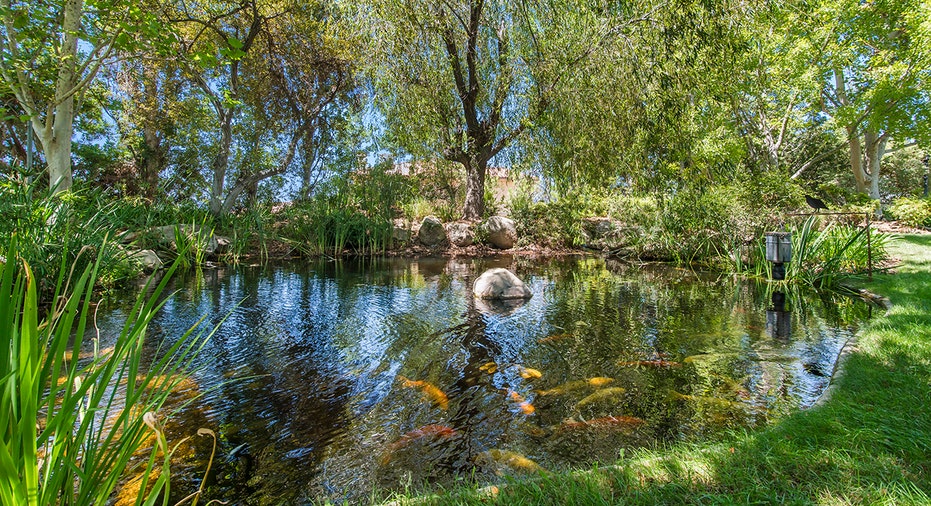 a picturesque koi poind