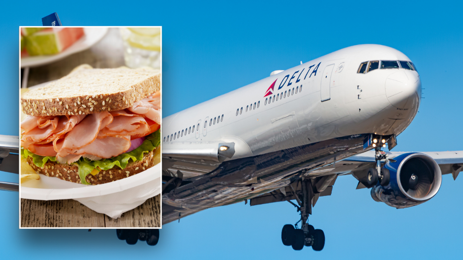 Split image of ham sandwich, Delta plane