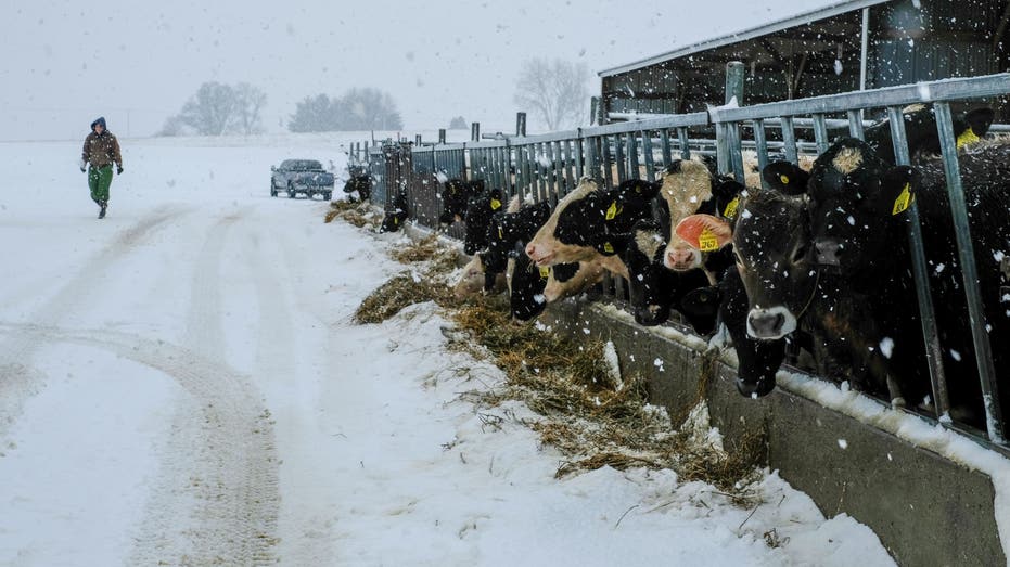 dairy farmer wisconin