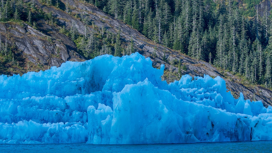 Alaskan icebergs