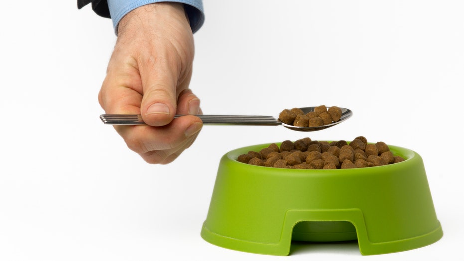 Person scooping dog food out of bowl with spoon