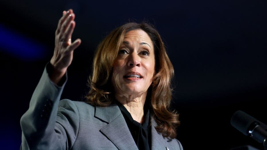 Kamala Harris speaks at a campaign rally