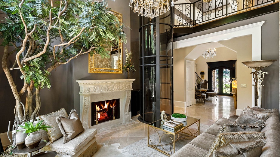 The living room features a custom elevator, fireplace and a tree.