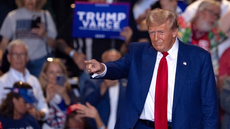 Trump points to crowd at campaign rally