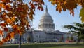 The U.S. Capitol is surrounded by colorful leaves on trees during a warm, fall day on Nov. 7, 2023, in Washington D.C. - Fox News