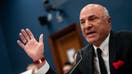  Kevin O&apos;Leary, Chairman of O&apos;Leary Ventures, testifies before the House Committee on Small Business during a hearing &quot;Unleashing Main Street&apos;s Potential: Examining Avenues to Capital Access&quot; at the Rayburn House Office Building on January 18, 2024 in Washington, DC.