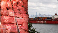 US meat industry insider warns port strike threatens pork, beef dominance: Competitors ready to 'step in'