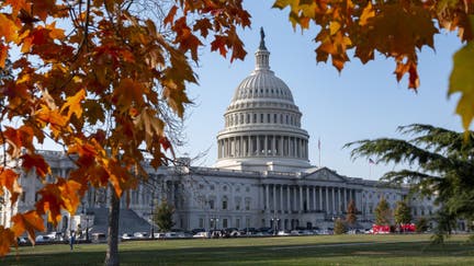 The U.S. Capitol is surrounded by colorful leaves on trees during a warm, fall day on Nov. 7, 2023, in Washington D.C. - Fox Business News