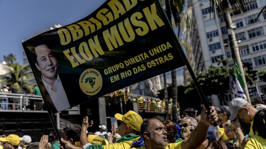 Musk banner held by Brazilian supporter