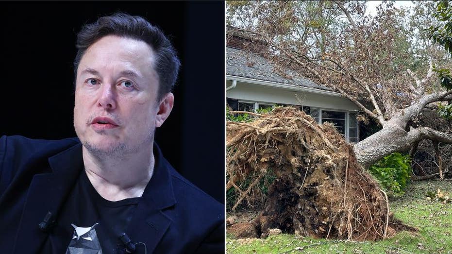 A split of Elon Musk and hurricane damage