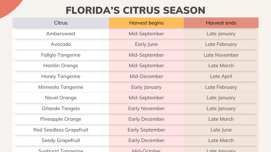 Chart of Florida citrus harvest seasons