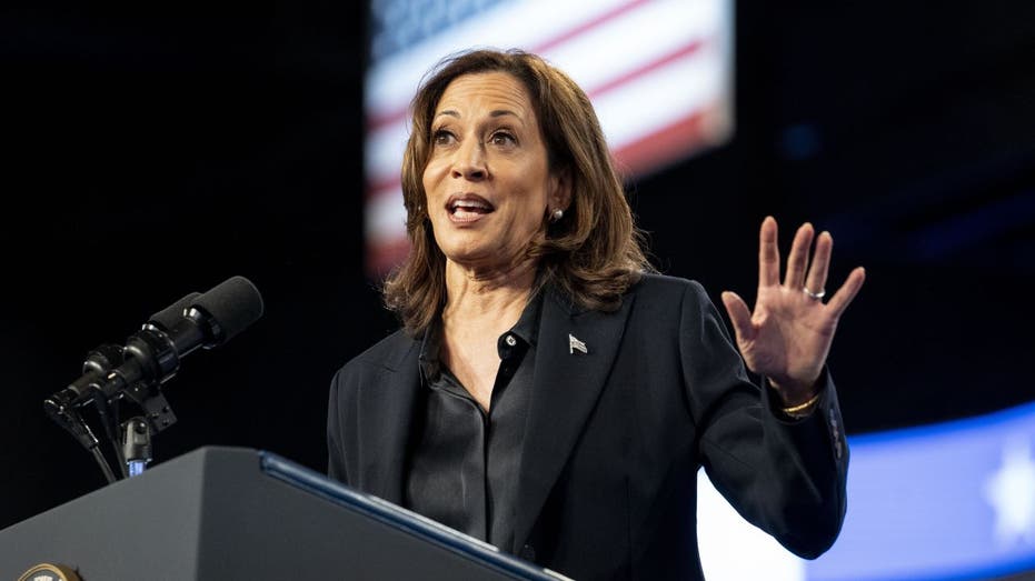 Vice President Kamala Harris closeup shot