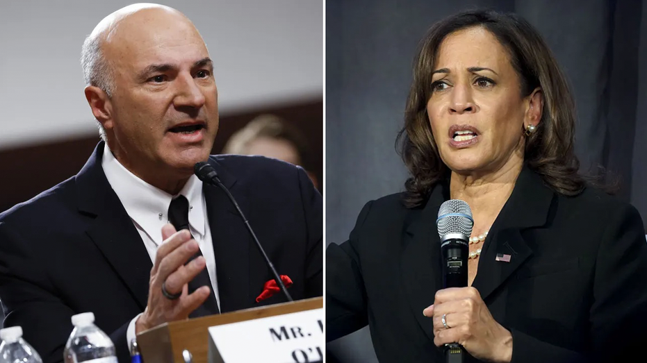 Kevin OLeary (Left) Kamala Harris (Right)