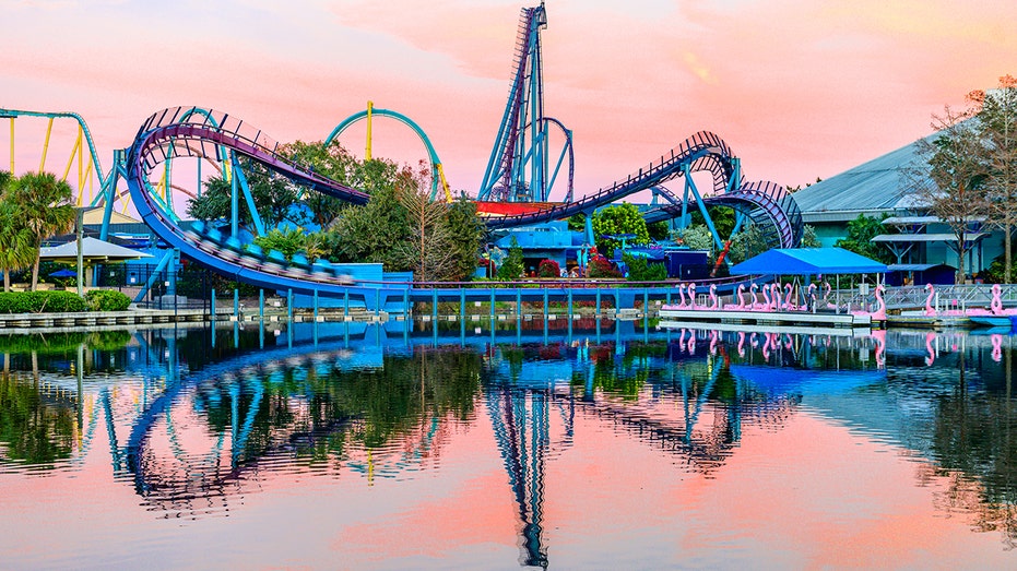 Mako SeaWorld Orlando