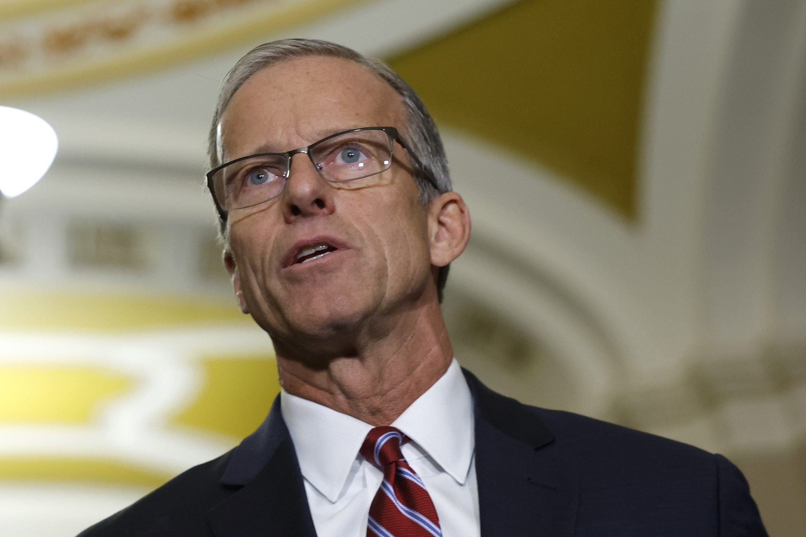 Sen Majority Leader-Elect Thune has 'no choice' but to push hard for Trump agenda despite concerns: GOP sen