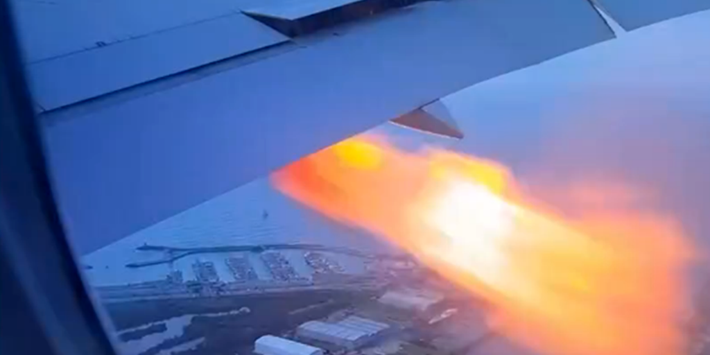 Flames burst from Boeing plane after reported bird strike, video