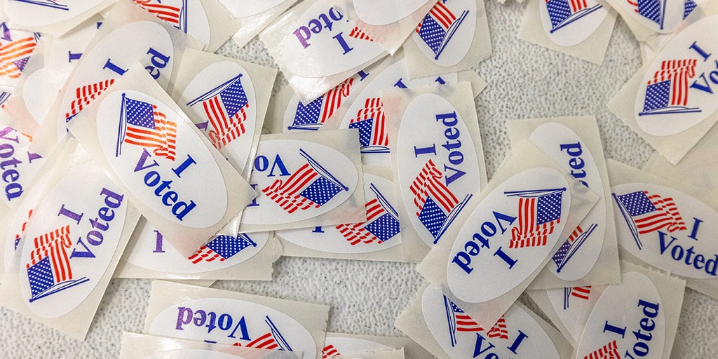 Claude AI accessed publicly available Georgia voter data, Anthropic confirms
