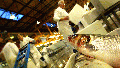 LONDON - NOVEMBER 12: A display of Seabass are shown for sale at Billingsgate Fish Market November 12, 2002 in London, England. An International Council for the Exploration of the Seas (ICES) report has said that cod stocks are at an all-time low and in imminent danger of collapse unless urgent action is taken. (Photo by Scott Barbour/Getty Images) - Fox News
