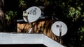 DirecTV and Dish satellite dish receivers on the roof of a home in Wrightwood, California, US, on Monday, Sept. 30, 2024. DirecTV and Dish have agreed to combine in a deal that will create the biggest pay-TV provider in the US with about 18 million subscribers. - Fox News