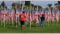 A Marines veteran walks amid thousands of flags in tribute to the memory of veterans of the US military during the Veterans Day celebrations in Covina, California on November 11, 2017.
Veterans Day, an official United States public holiday, is observed annually on November 11th.  / AFP PHOTO / Mark RALSTON        (Photo credit should read MARK RALSTON/AFP via Getty Images) - Fox News