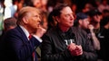 NEW YORK, NEW YORK - NOVEMBER 16: President-elect Donald Trump and Elon Musk talk ring side during the UFC 309 event at Madison Square Garden on November 16, 2024 in New York City. (Photo by Chris Unger/Zuffa LLC) - Fox News