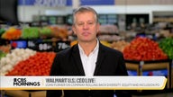 Walmart CEO addresses rollback of DEI programs: 'Going to continue to make the best decisions we can'