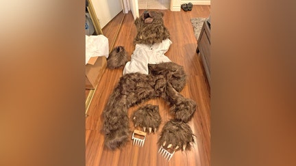 The bear costume used in the alleged January insurance scam. 