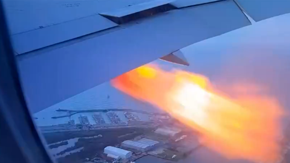 Flames burst from Boeing aircraft after reported chook strike, video presentations