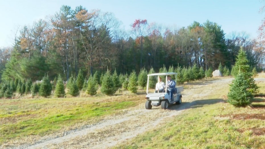 Vandervalk farms