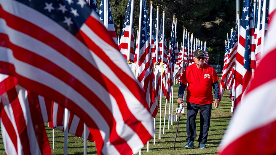 Veterans Day Field of Valor honors