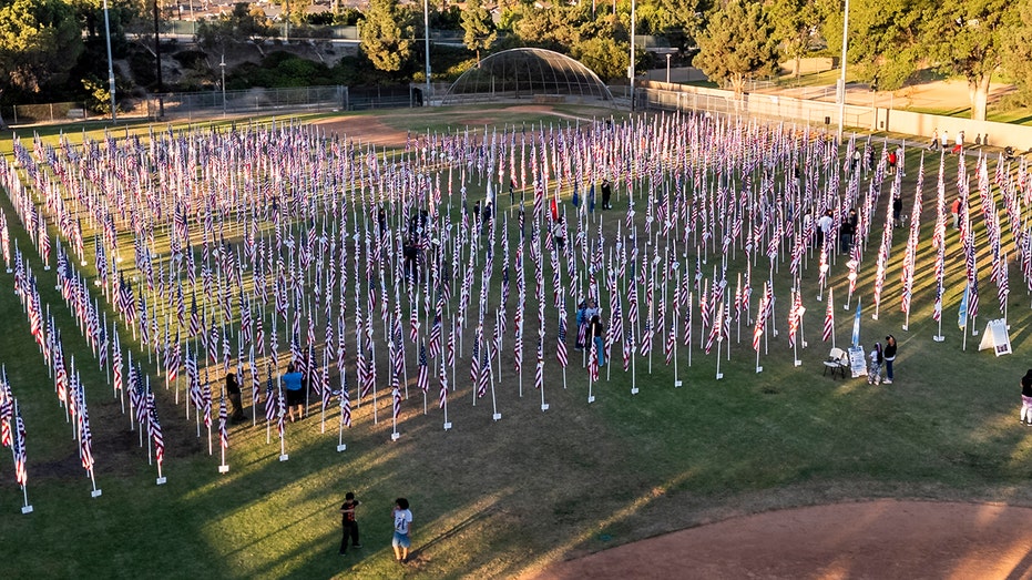 Veterans Day Field of Valor honors