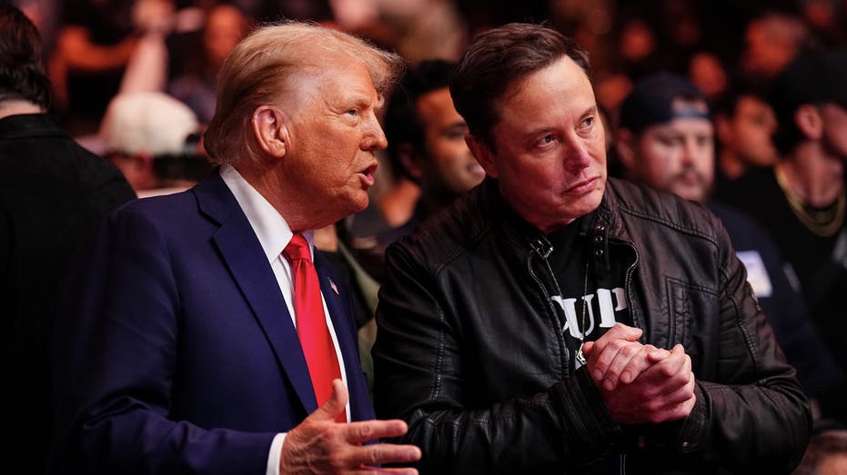 Trump and musk in the UFC fight