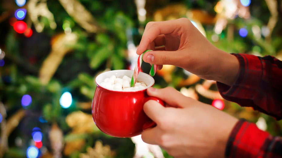 Hot chocolate with marshmallows in front of a Christmas tree