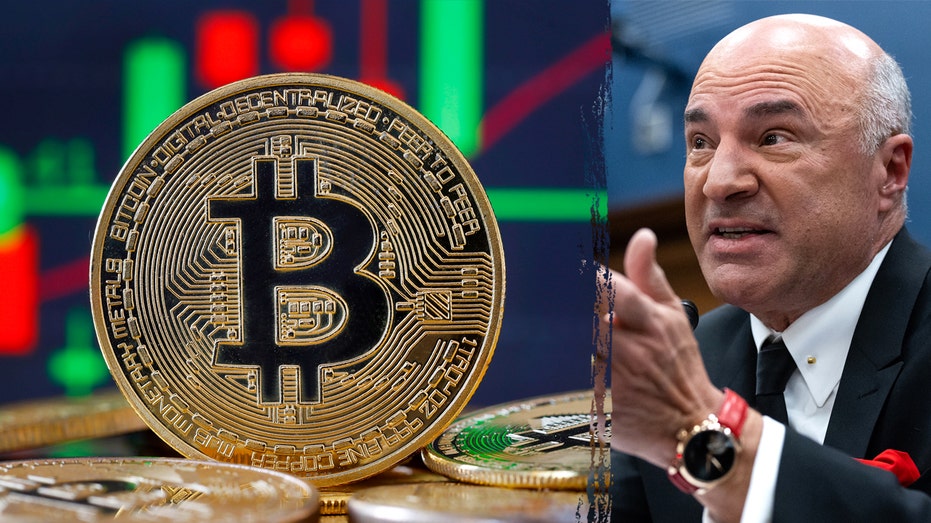 Kevin OLeary on crypto czar