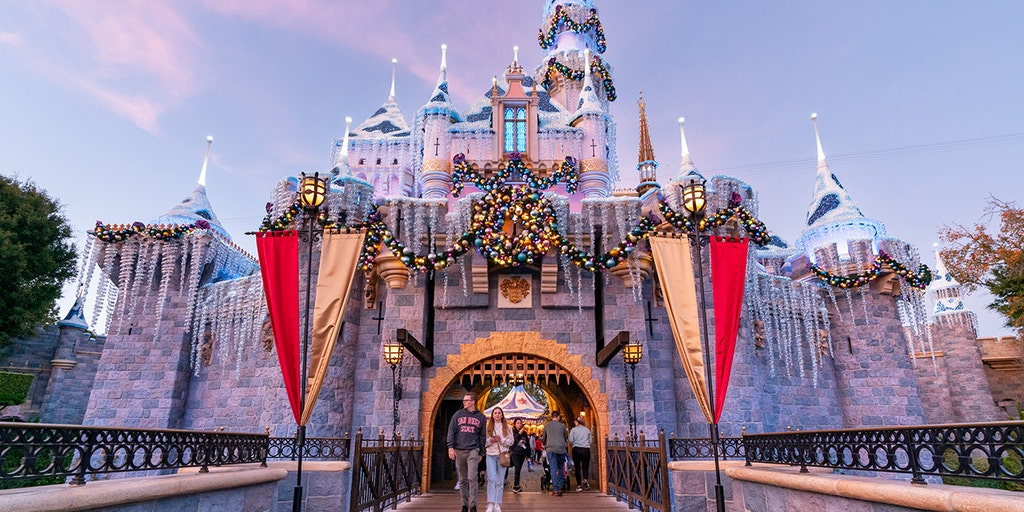 Disneyland places restriction on popular holiday item, as demand