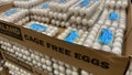 Large amount of Cage Free eggs at CostCo store, Florida. - Fox News