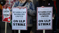 Baristas picket in front of a Starbucks in Burbank, California, U.S., December 20, 2024. - Fox News