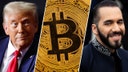 Trump congratulates bitcoiners — El Salvador's Nayib Bukele takes victory lap with bitcoin over 100K