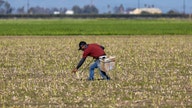 Chipotle and Sweetgreen bet big on small farmers amid agriculture crisis