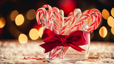 Candy canes in front of Christmas tree
