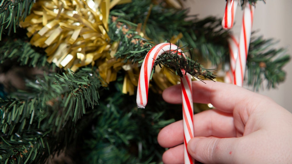 A candy cane is placed on the Christmas tree