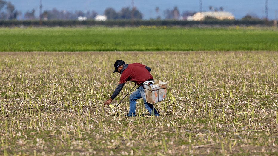 Farmers