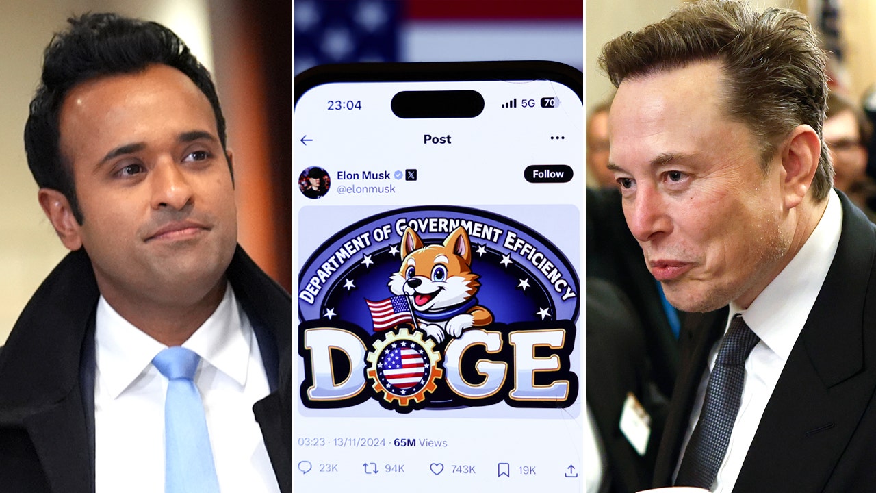 Musk, Ramaswamy unveil the DOGE full-time, salaried roles they're trying to fill