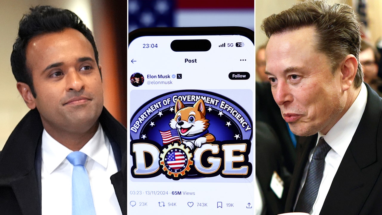 Tesla CEO Elon Musk's DOGE Faces Legal Challenge Hours After Trump's