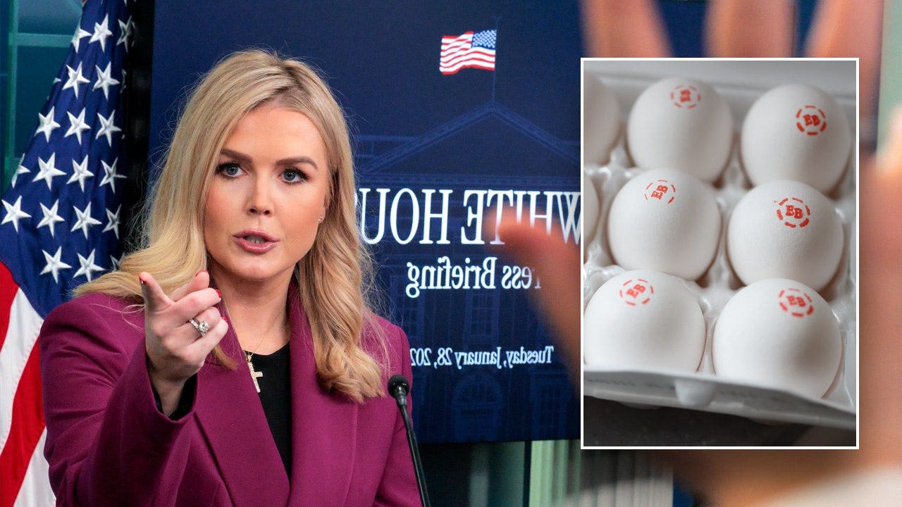 White House says Biden admin's killing of over 100M chickens contributed to skyrocketing egg prices