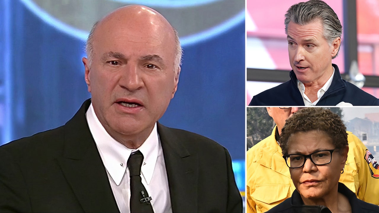 O'Leary on wildfire aid: 'Not a dime' for Gavin Newsom, Karen Bass until they're removed from office