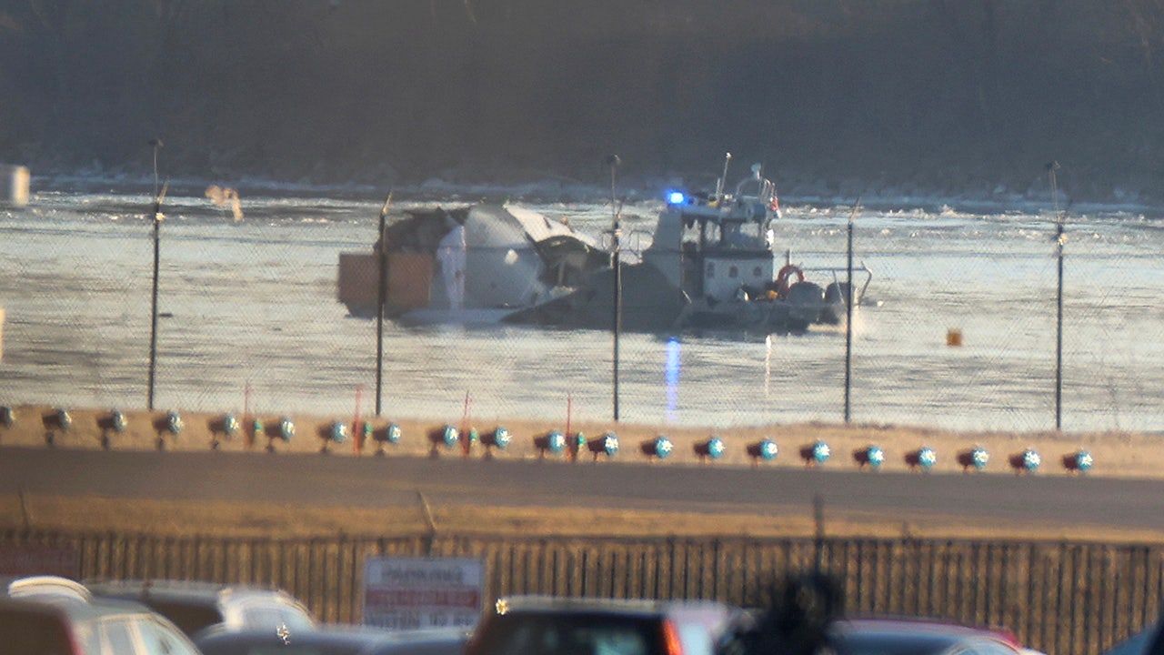 Southwest Airlines CEO on American Airlines crash in DC: ‘Our hearts go out’